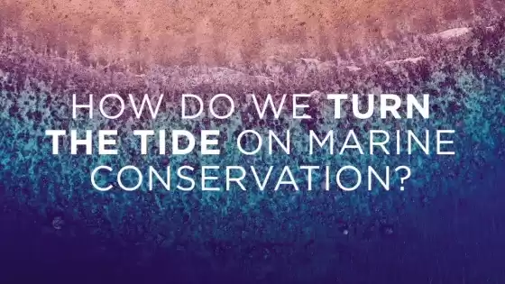 How do we turn the tide on marine conservation? (subtitled)