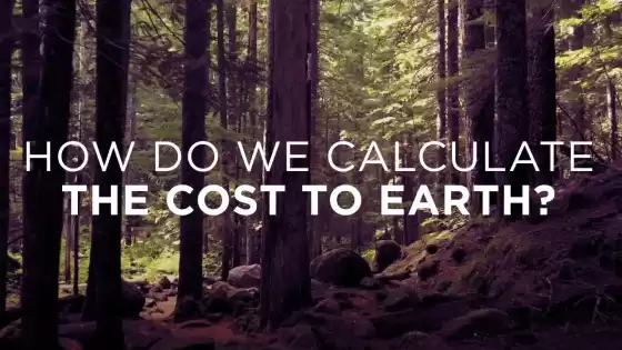 How do we calculate the cost to the Earth?
