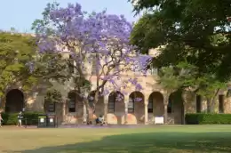 L'Università del Queensland 