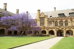 悉尼大學 
