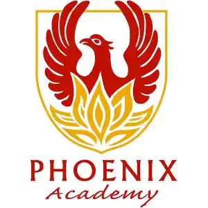 Phoenix Academy is now delivering courses online!