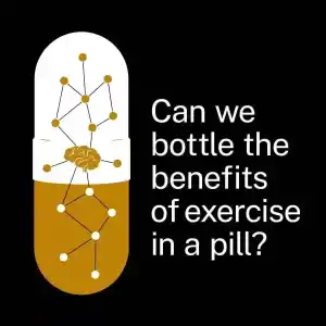 O exercício em uma pílula pode oferecer soluções para pacientes em risco Pesquisadores da ANU