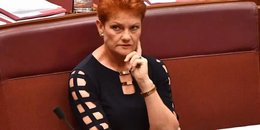 International students should have no work rights: Pauline Hanson